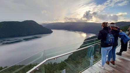 Excursão guiada pela Ilha de Vancouver e Malahat Skywalk